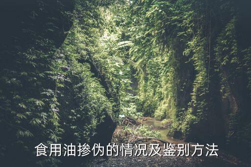最近假食用油是什么,食用油20s是什么意思