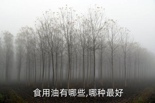  食用油有哪些,哪种最好
