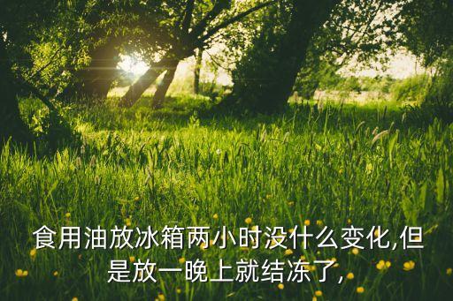  食用油放冰箱两小时没什么变化,但是放一晚上就结冻了,