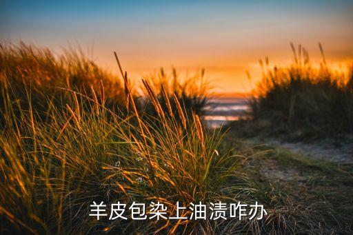  羊皮包染上油渍咋办