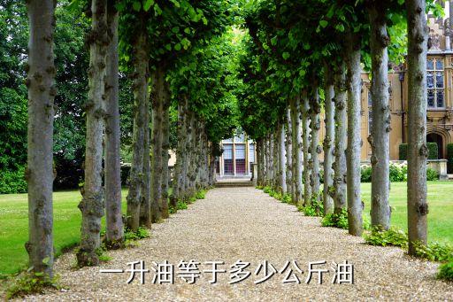 一升油等于多少公斤油