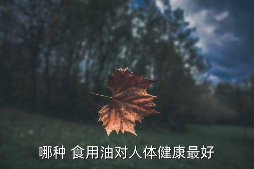 哪种 食用油对人体健康最好