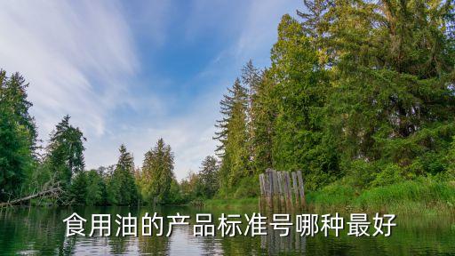  食用油的产品标准号哪种最好