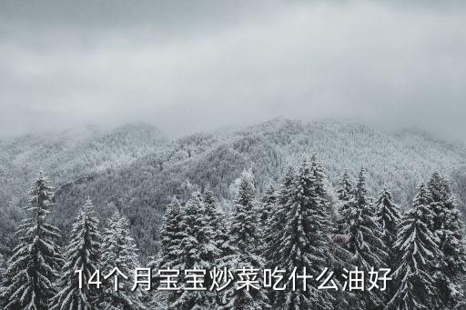 14个月宝宝炒菜吃什么油好