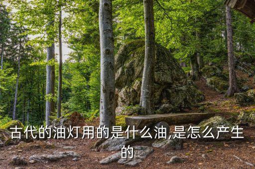 用食用油怎么照明,食用油过期怎么处理