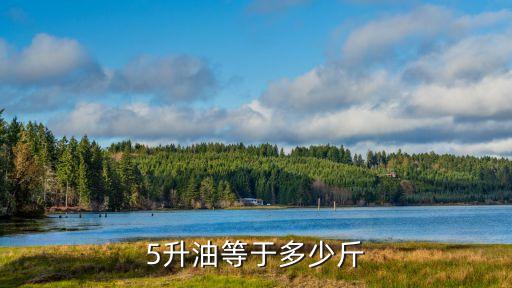 5升油等于多少斤