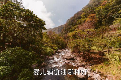 婴儿辅食油哪种好
