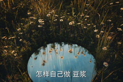 怎样自己做 豆浆