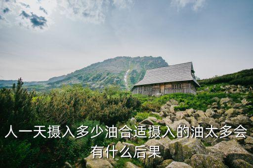 人一天摄入多少油合适摄入的油太多会有什么后果
