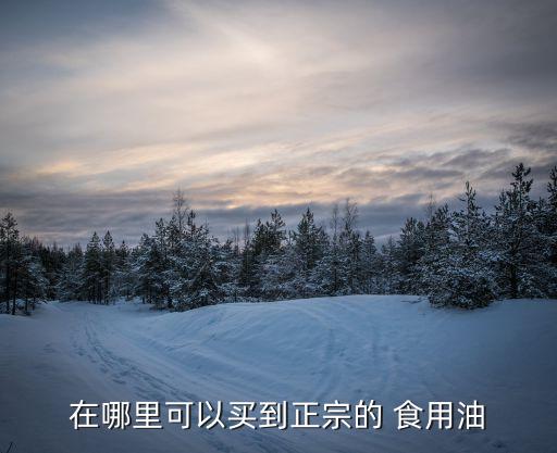 在哪里可以买到正宗的 食用油