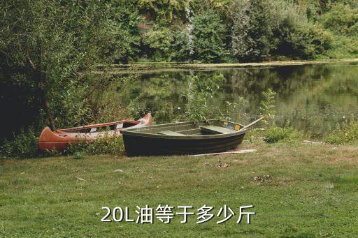 20L油等于多少斤