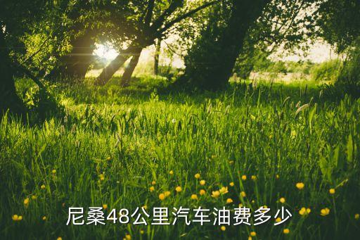 尼桑48公里汽车油费多少