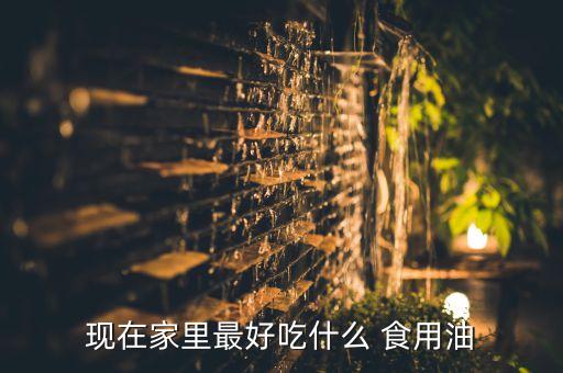 现在家里最好吃什么 食用油