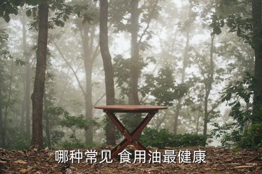 哪种常见 食用油最健康