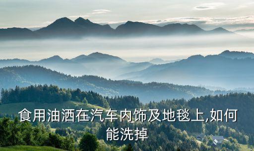  食用油洒在汽车内饰及地毯上,如何能洗掉