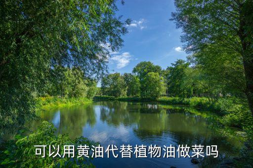 可以用黄油代替植物油做菜吗
