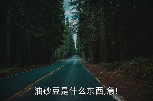 油砂豆是什么东西,急!