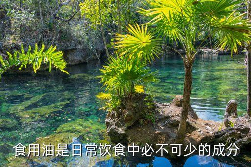  食用油是日常饮食中必不可少的成分