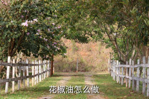 舀食用油用勺子叫什么
