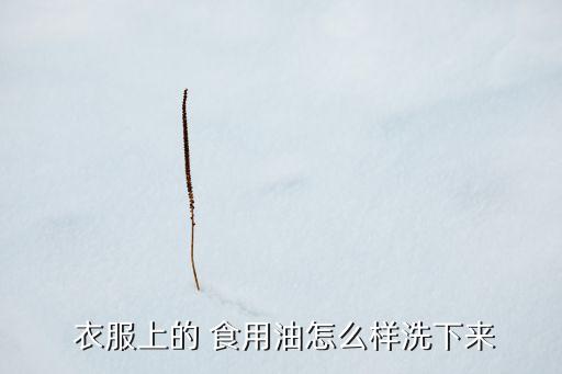  衣服上的 食用油怎么样洗下来