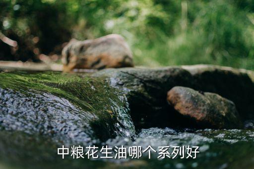  中粮花生油哪个系列好