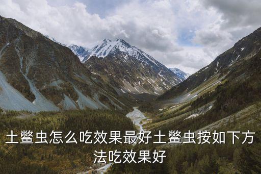 什么昆虫食用油好
