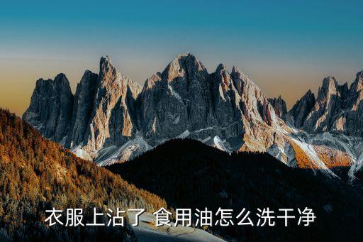 衣服上沾了 食用油怎么洗干净