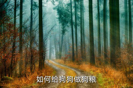 如何给狗狗做狗粮