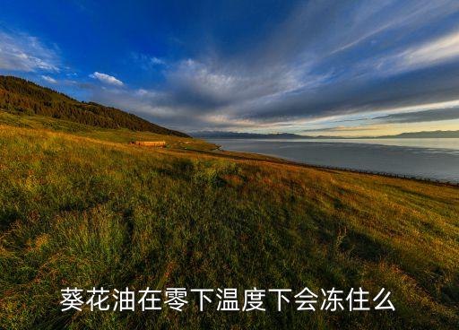 葵花油在零下温度下会冻住么