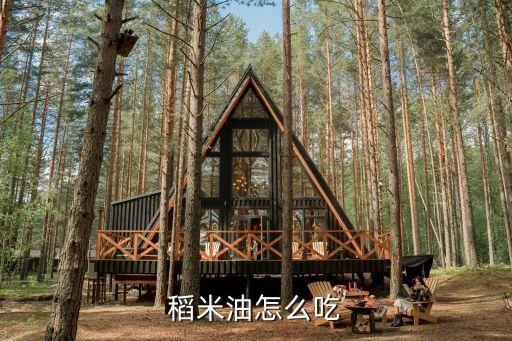 稻米油怎么吃