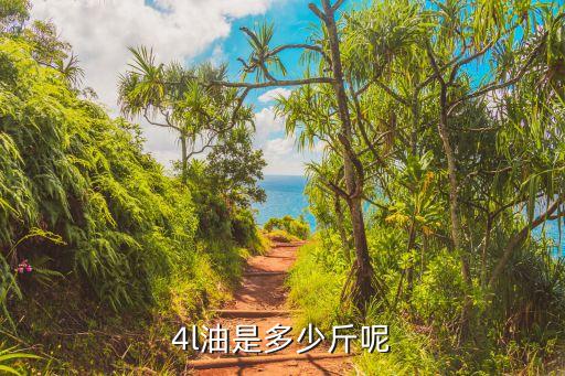 4斤食用油多少升水,一升水和一升水一样重吗
