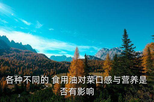 上海食用油货架怎么卖的