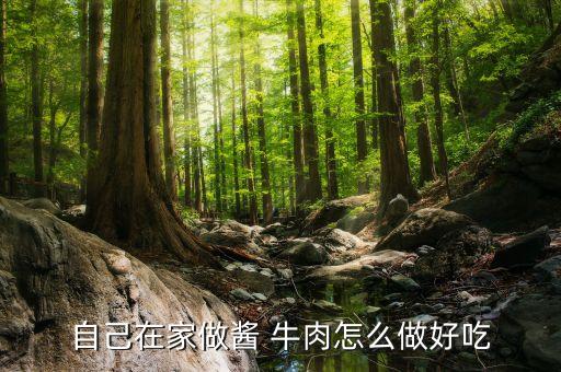 自己在家做酱 牛肉怎么做好吃