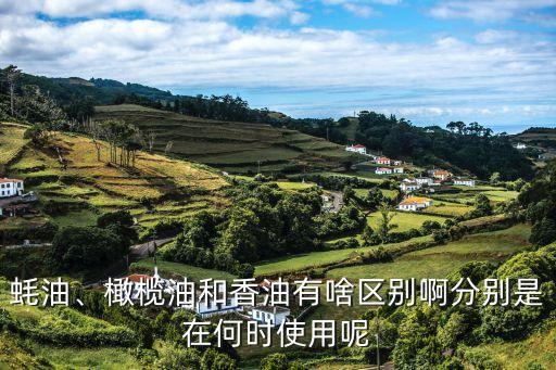 蚝油、橄榄油和香油有啥区别啊分别是在何时使用呢
