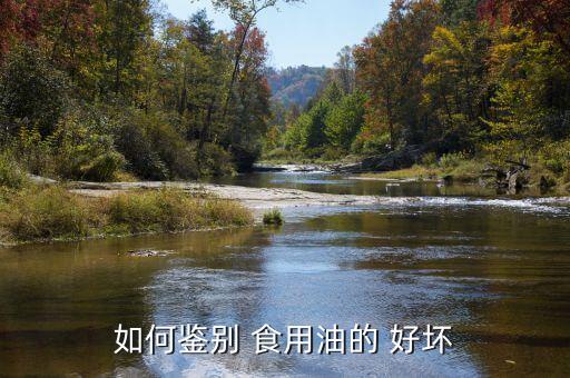 散装食用油怎么看质量好坏,食用油质量等级怎么看