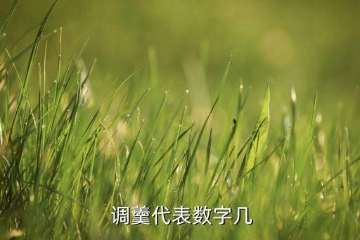  调羹代表数字几