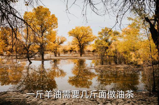 一斤食用油能做多少面条,食用油多少钱一斤2021