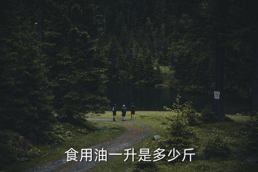  食用油一升是多少斤