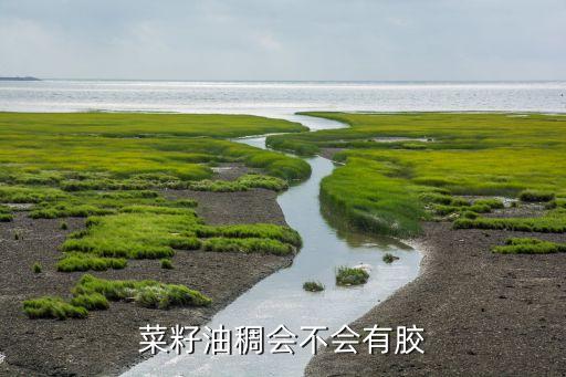 菜籽油稠会不会有胶