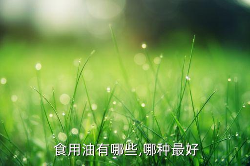  食用油有哪些,哪种最好