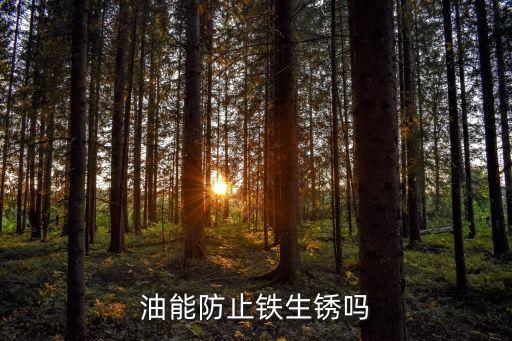家里什么食用油可以防锈