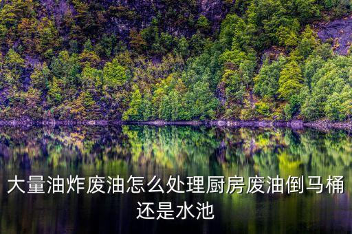 大量油炸废油怎么处理厨房废油倒马桶还是水池