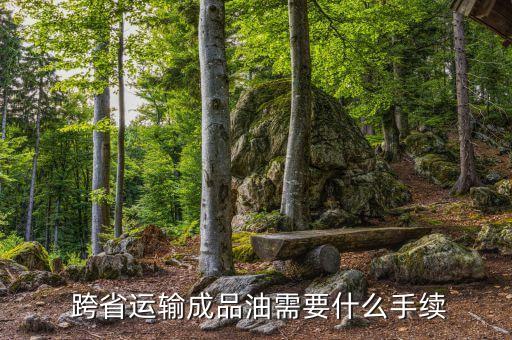  跨省运输成品油需要什么手续