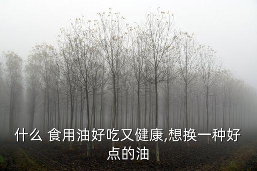 什么 食用油好吃又健康,想换一种好点的油