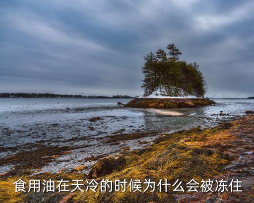  食用油在天冷的时候为什么会被冻住
