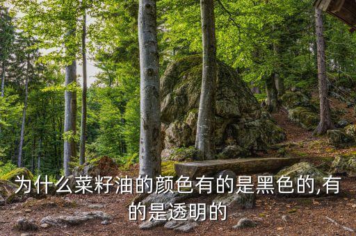 食用油用什么色素,什么油是最好的食用油