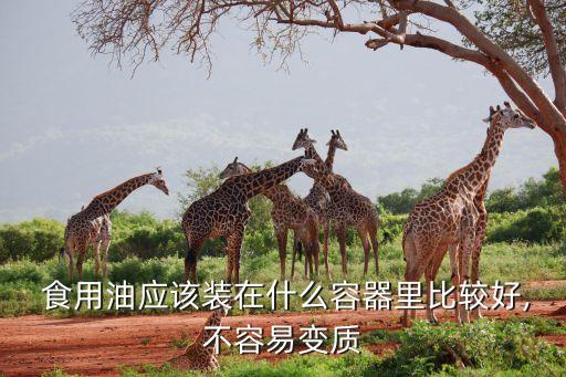  食用油应该装在什么容器里比较好,不容易变质