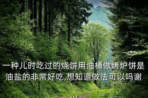 一种儿时吃过的烧饼用油桶做烤炉饼是油盐的非常好吃,想知道做法可以吗谢...