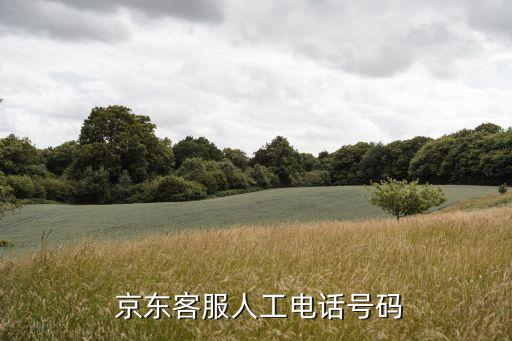  京东客服人工电话号码