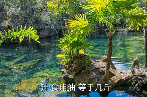1升 食用油 等于几斤